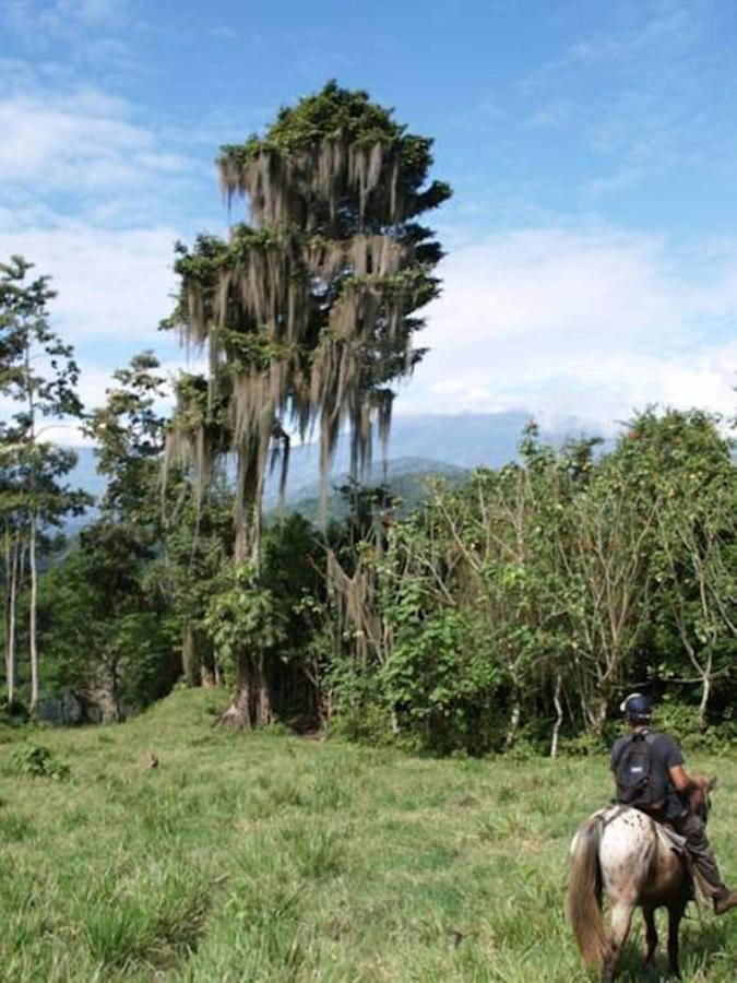 Hacienda Monteclaro 호텔 투리알바 외부 사진