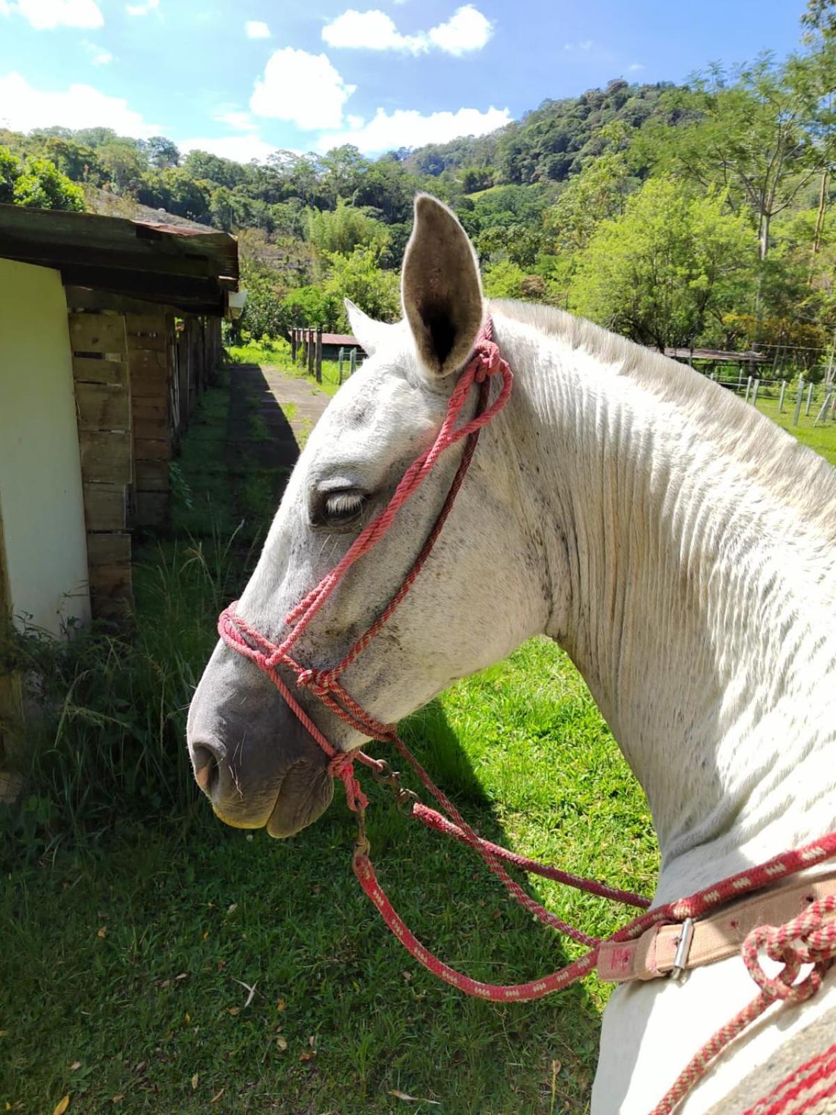 Hacienda Monteclaro 호텔 투리알바 외부 사진